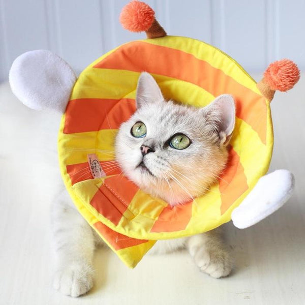 Cute Soft Cat Cone – AmazinglyCat